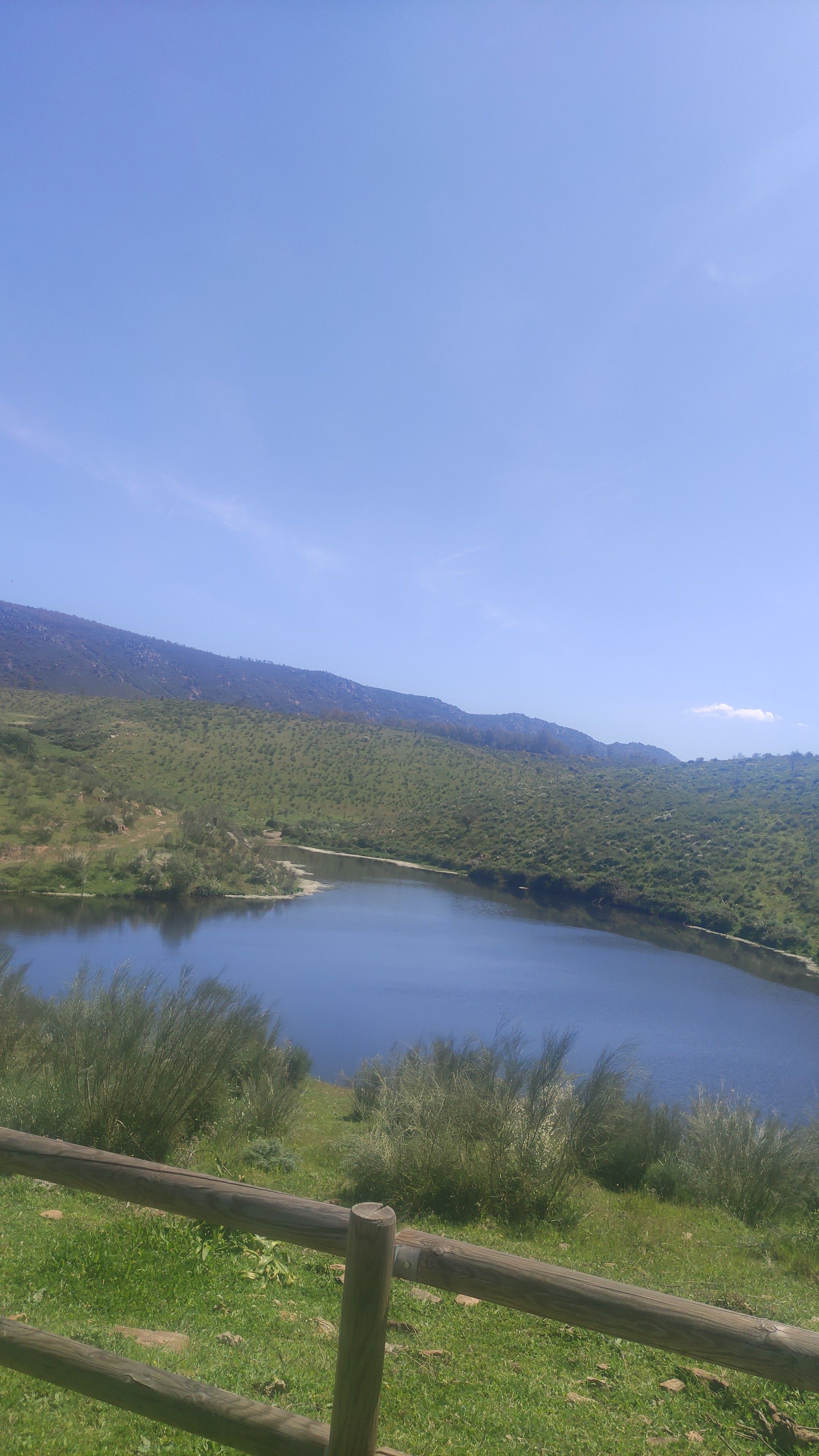 IMG 20250408 WA0036