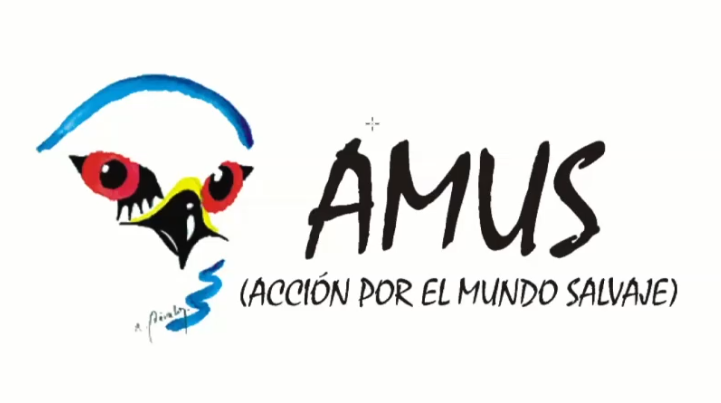 Captura de pantalla 2024 05 20 11 37 01