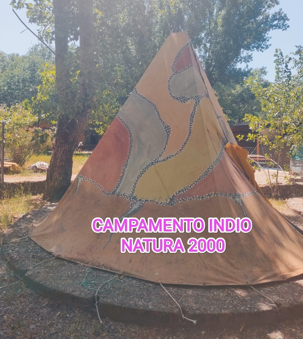 IMG 20240603 065754